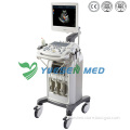 Medical 3D Trolley Color Doppler Ultrasound